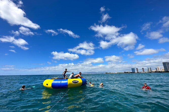 Waikiki, Hawaii: Deluxe Snorkel and Wildlife Cruise - Wildlife watching without hype: turtles, dolphins, and whales