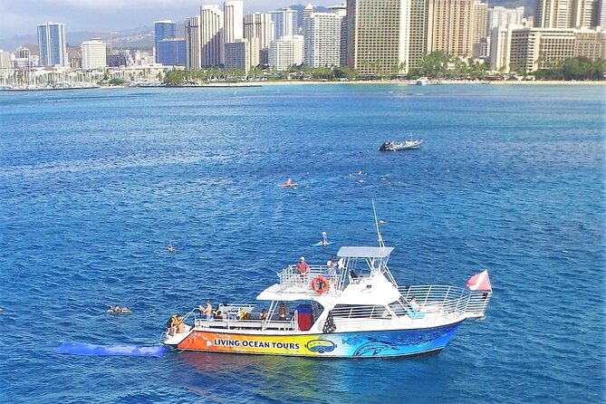 Waikiki, Hawaii: Turtle Canyon Snorkel Excursion - Turtle Canyons Snorkeling: Why It Works From Waikiki