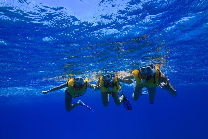 Waikiki, Hawaii: Turtle Canyon Snorkel Excursion - The Itinerary Stops: Waikiki Beach and the Diamond Head Area
