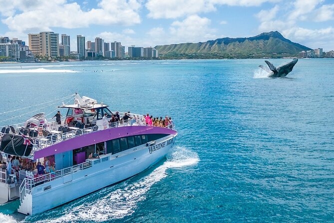 Waikiki, Oahu 2-Hour Whale Watching: Guaranteed Sightings - Price and Value: Is $45.31 a Good Deal?