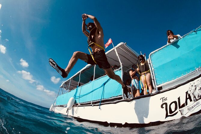 Waikiki Snorkel Tour - Turtle Canyons Is Why You Go: The Sea Turtle Cleaning Station