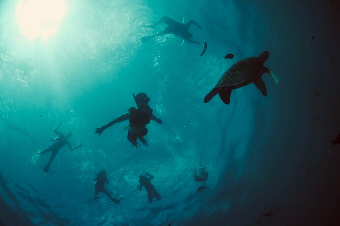 Waikiki Snorkel Tour - The 2-Hour Rhythm: Boat Time, Safety Talk, and Getting to Deeper Water