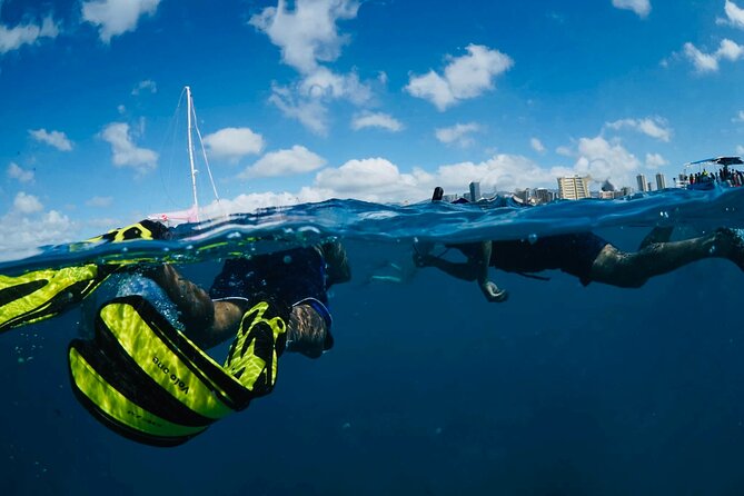 Waikiki Snorkel Tour - Price and Value: Is $50 Worth It for 2 Hours in the Water?