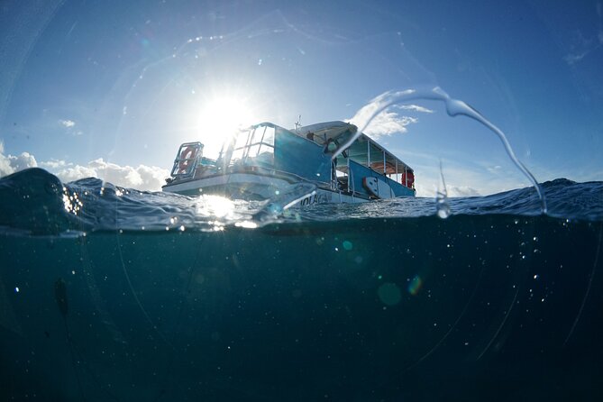 Waikiki Snorkel Tour - Who This Waikiki Snorkel Tour Fits Best (And Who Should Skip)