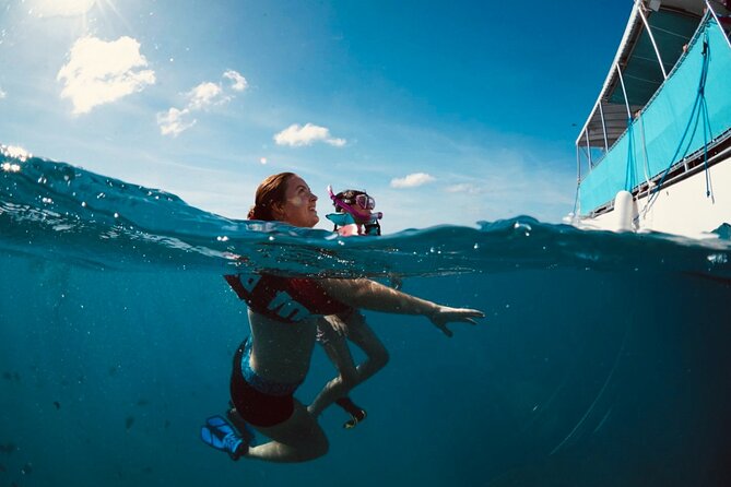 Waikiki Snorkel Tour - Getting Set at 1085 Ala Moana Blvd: Where Your Tour Actually Starts