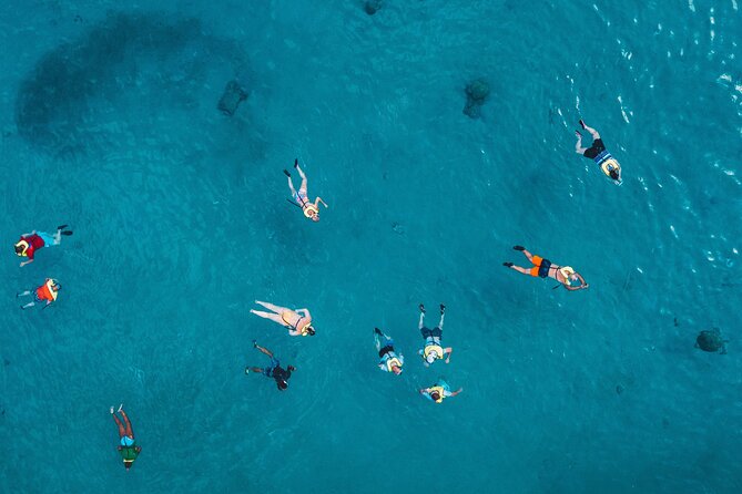 Waikiki: Turtle Canyon Snorkel - Turtle Canyon Water Time: Gear, Skills, and Staying Safe