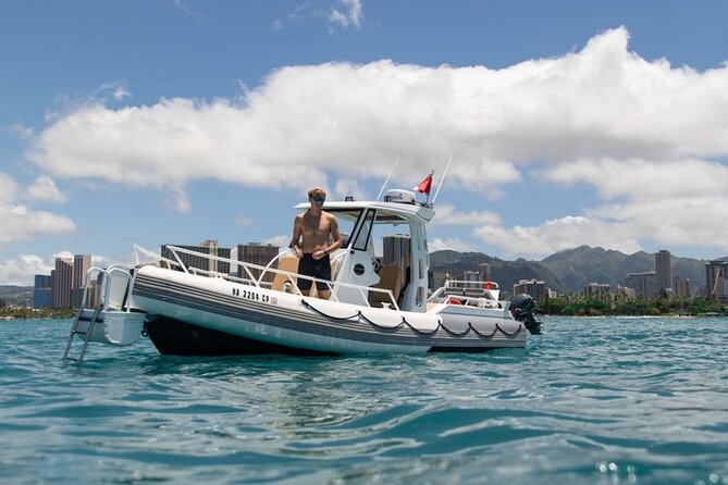 Waikiki Turtle Canyon Snorkel: Turtles Guaranteed - Gear and safety: why the “easy day” is actually managed