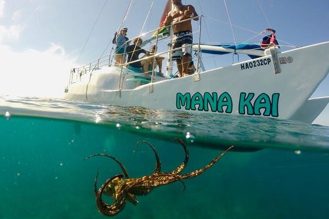 Waikiki Turtle Snorkel and Sail on Hawea Catamaran - Turtle Canyon from Waikiki: why this trip feels special