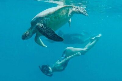 Waikiki Turtle Snorkel and Sail on Hawea Catamaran - Boarding Hawea: what the first hour usually feels like