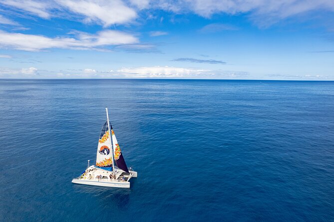 West Oahu Dolphin Watch and Snorkel Sail with Lunch - The Big Idea: A West Oahu Marine Day, Built for People Who Want Value
