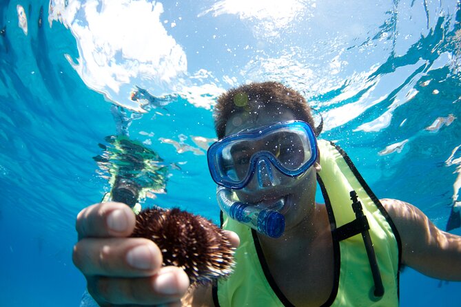 West Oahu Dolphin Watch and Snorkel Sail with Lunch - The Snorkeling Stop: Gear, a Quick Lesson, and What to Expect Underwater