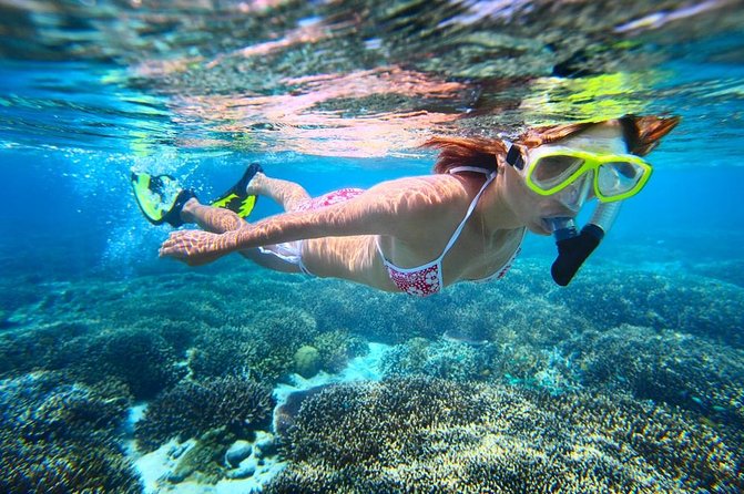 West Oahu Dolphin Watch and Snorkel Sail with Lunch - When You Might Also Spot Whales (Seasonally)