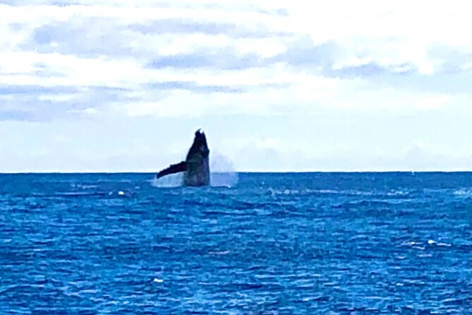 Whale Watching & Late Breakfast Cruise in Honolulu - The Cruise Route and What Each Stop Really Offers