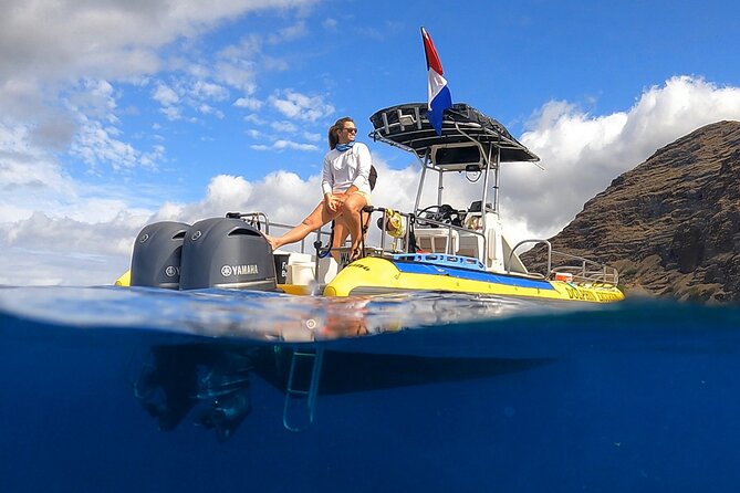 Wild Dolphin Watching and Snorkel Safari Off West Coast of Oahu - Key points that matter before you go